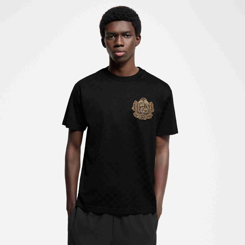 Louis Vuitton T Shirt LVY0487