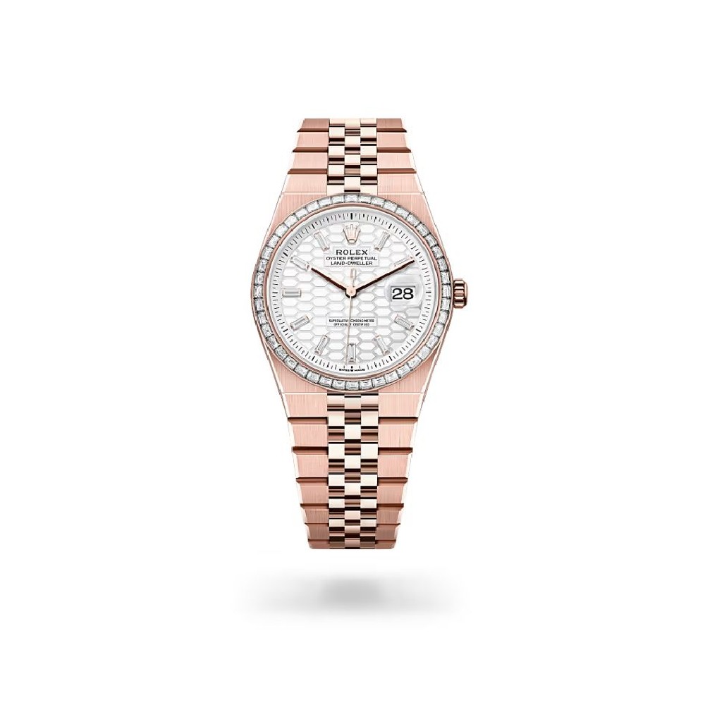 ROLEX   Land-Dweller 36 RO1893